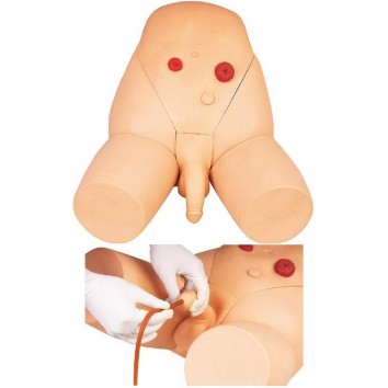 ADVANCED MALE URETHRAL CATHETERIZATION SIMULATOR